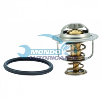 TERMOSTATO, TERMOINTERRUTTORE