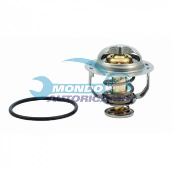 TERMOSTATO, TERMOINTERRUTTORE