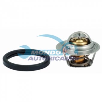 TERMOSTATO, TERMOINTERRUTTORE