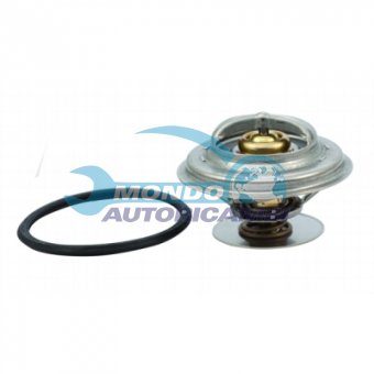 TERMOSTATO, TERMOINTERRUTTORE