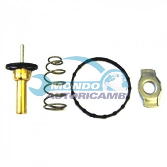 TERMOSTATO, TERMOINTERRUTTORE