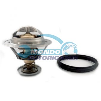 TERMOSTATO, TERMOINTERRUTTORE