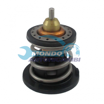 TERMOSTATO, TERMOINTERRUTTORE