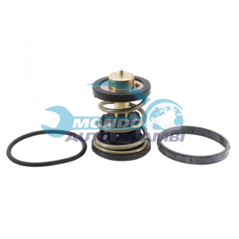 TERMOSTATO, TERMOINTERRUTTORE