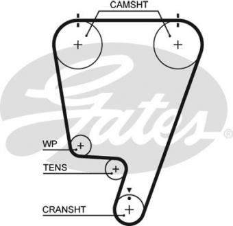 CINGHIA DISTRIBUZIONE