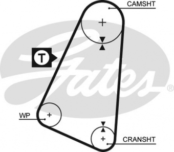 CINGHIA SERVIZI AUSILIARI