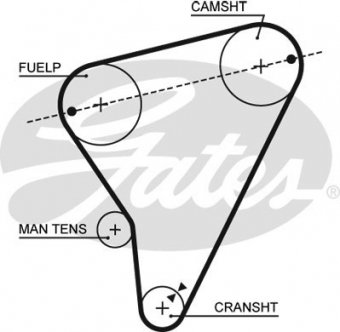 CINGHIA SERVIZI AUSILIARI