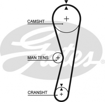 CINGHIA SERVIZI AUSILIARI