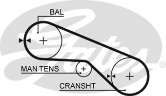 CINGHIA SERVIZI AUSILIARI