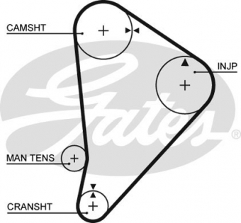 CINGHIA SERVIZI AUSILIARI