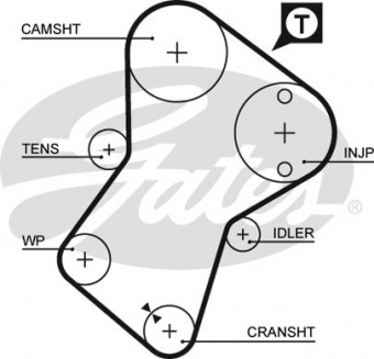 CINGHIA SERVIZI AUSILIARI
