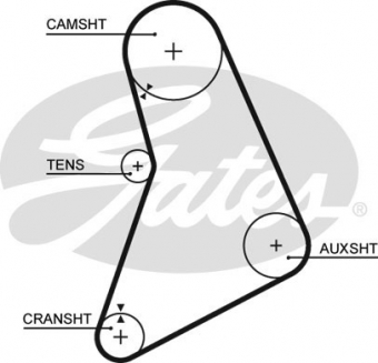 CINGHIA SERVIZI AUSILIARI