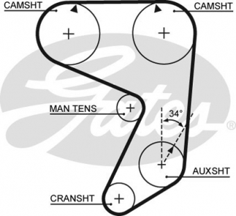 CINGHIA SERVIZI AUSILIARI