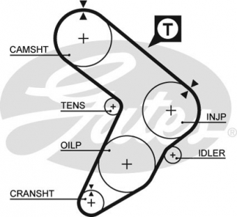 CINGHIA SERVIZI AUSILIARI