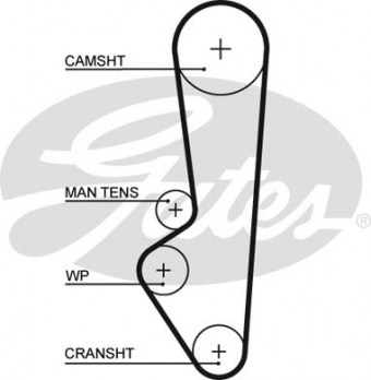 CINGHIA SERVIZI AUSILIARI