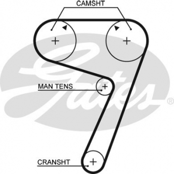 CINGHIA SERVIZI AUSILIARI