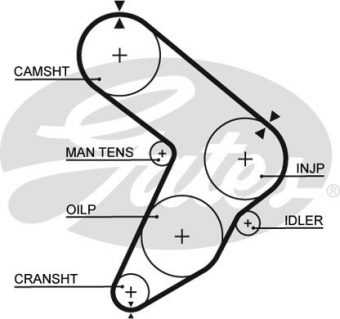 CINGHIA SERVIZI AUSILIARI