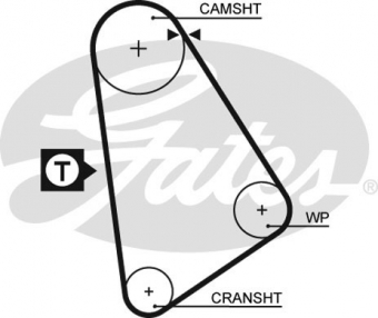 CINGHIA SERVIZI AUSILIARI