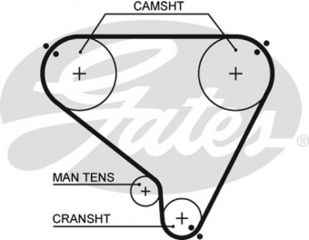 CINGHIA SERVIZI AUSILIARI