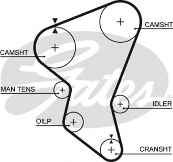 CINGHIA SERVIZI AUSILIARI