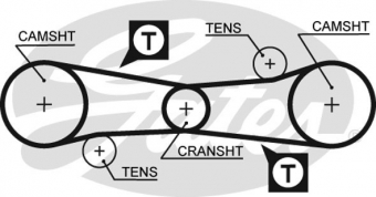 CINGHIA SERVIZI AUSILIARI