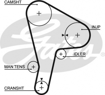 CINGHIA SERVIZI AUSILIARI