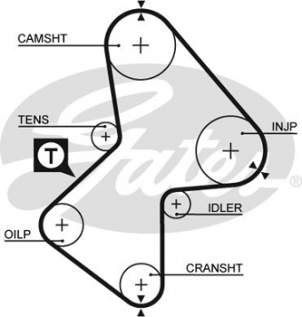 CINGHIA SERVIZI AUSILIARI