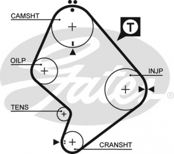 CINGHIA SERVIZI AUSILIARI