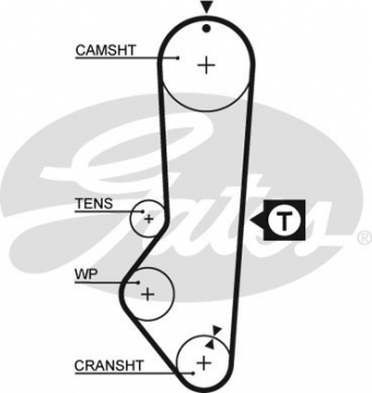 CINGHIA SERVIZI AUSILIARI