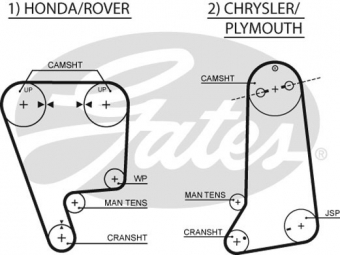 CINGHIA SERVIZI AUSILIARI