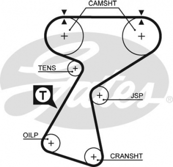 CINGHIA SERVIZI AUSILIARI