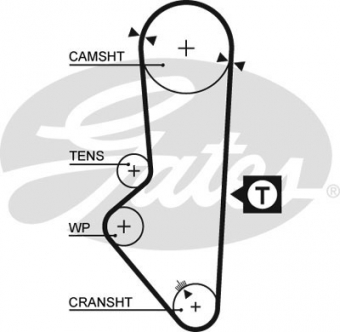 CINGHIA SERVIZI AUSILIARI