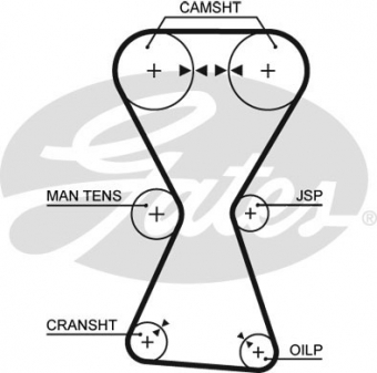 CINGHIA SERVIZI AUSILIARI