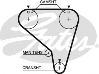 CINGHIA SERVIZI AUSILIARI