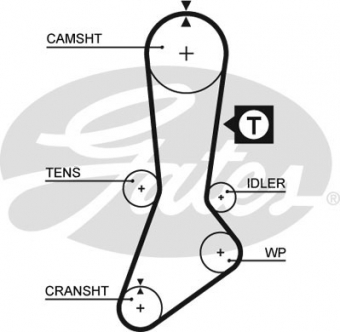 CINGHIA SERVIZI AUSILIARI