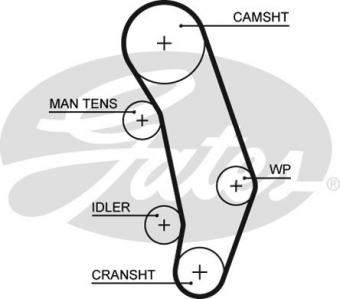 CINGHIA SERVIZI AUSILIARI