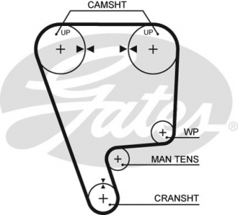 CINGHIA SERVIZI AUSILIARI