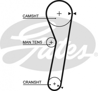 CINGHIA SERVIZI AUSILIARI