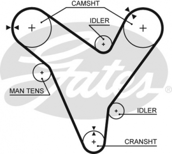 CINGHIA SERVIZI AUSILIARI