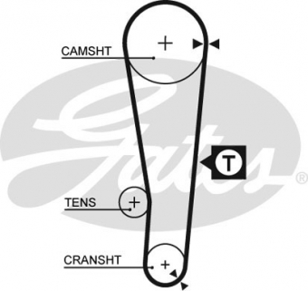 CINGHIA SERVIZI AUSILIARI