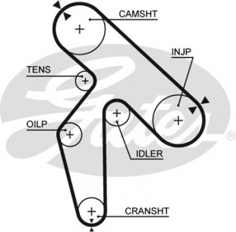CINGHIA SERVIZI AUSILIARI