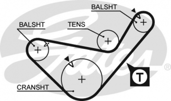 CINGHIA SERVIZI AUSILIARI