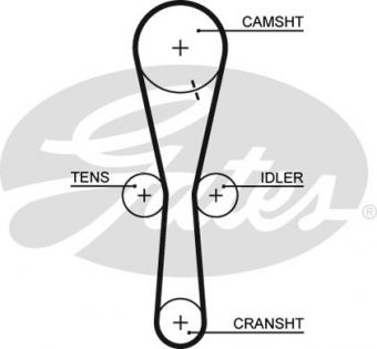 CINGHIA SERVIZI AUSILIARI