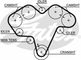 CINGHIA SERVIZI AUSILIARI