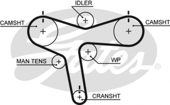 CINGHIA SERVIZI AUSILIARI