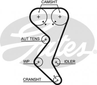 CINGHIA SERVIZI AUSILIARI