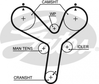 CINGHIA SERVIZI AUSILIARI