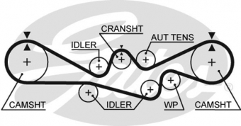 CINGHIA SERVIZI AUSILIARI