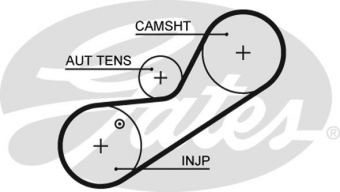 CINGHIA SERVIZI AUSILIARI