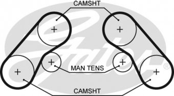 CINGHIA SERVIZI AUSILIARI